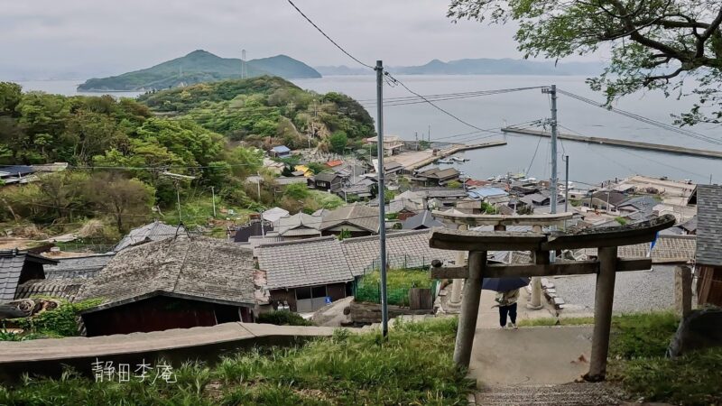 豊玉姫神社からの景色