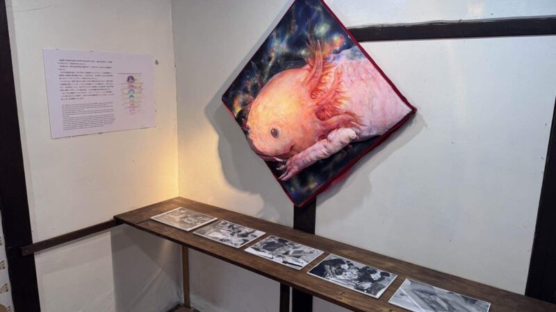 男木島の芸術作品